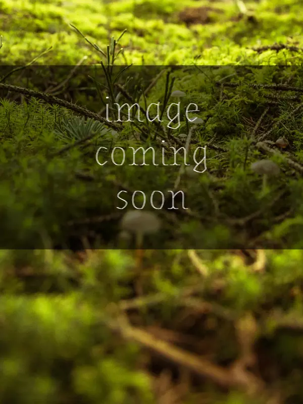 Twiggy Themes